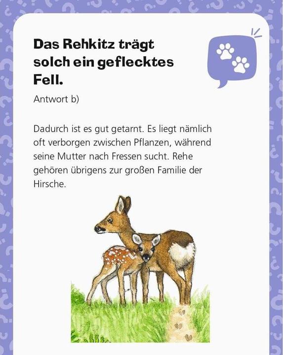 Image du produit Ravensburger Pourquoi? Pourquoi? Pourquoi? : Mon calendrier 2024 (Allemand, Dela Kienle, 2023)