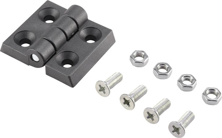 Actual product image Basetech Plastic hinge xxmm