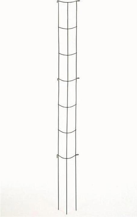 Produktbild Siena Garden Gemüse Rankturm (110 cm, 110 cm)