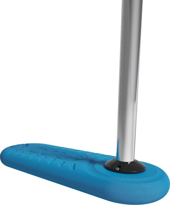 Actual product image Indo Bug