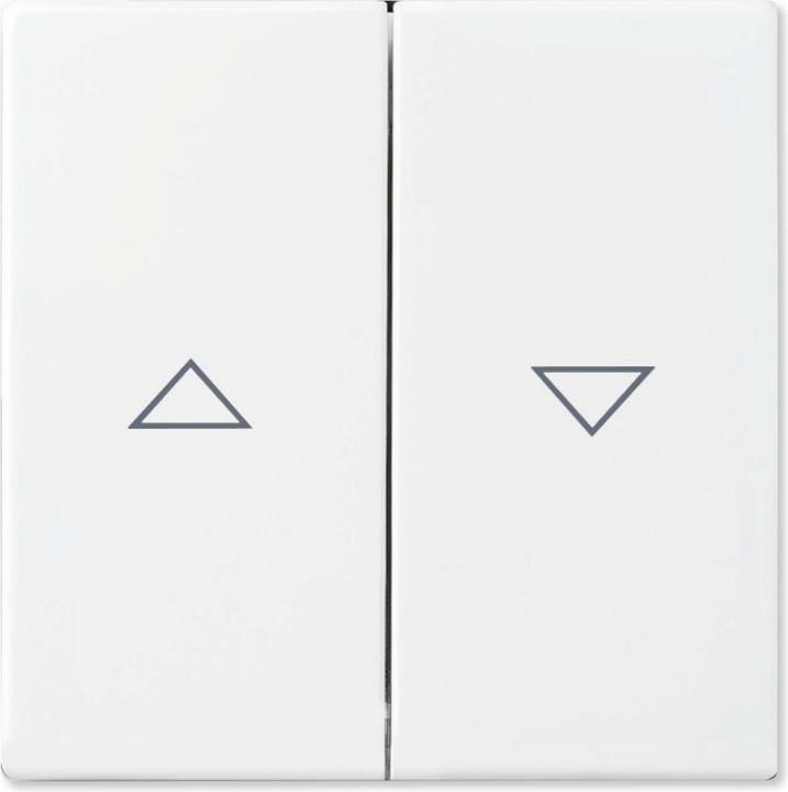 Produktbild Busch-Jaeger Wippe