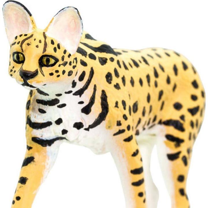 Actual product image Safari Serval