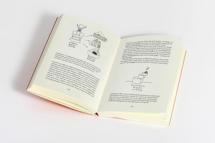 Produktbild Weiss die KI, dass sie nichts weiss? (Deutsch, Katharina Zweig, 2025)