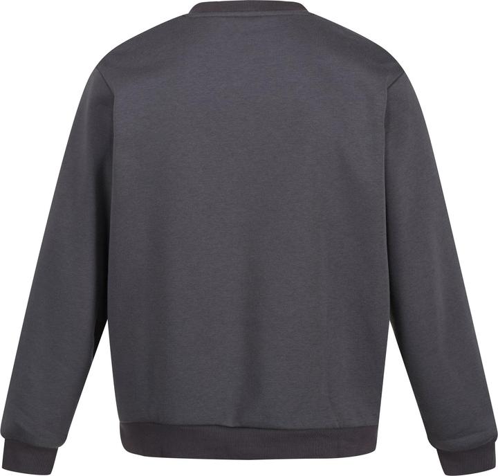 Immagine prodotto Regatta Pro Felpa Girocollo Uomo (4XL)