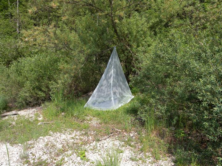 Produktbild Brettschneider Expedition Natural Bell Moskitonetz