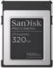 Actual product image SANDISK PRO-CINEMA CFexpress Type B (320 GB, CFexpress type B)