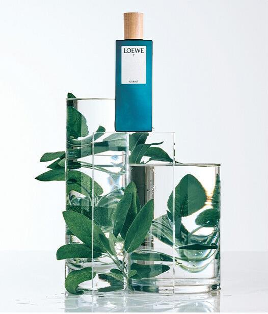 Immagine prodotto Loewe 7 Cobalto (Eau de parfum, 100 ml)