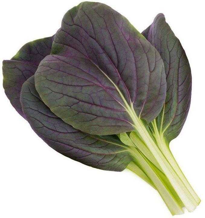 Image du produit Click and Grow Red Pak Choi (Graines de légumes)