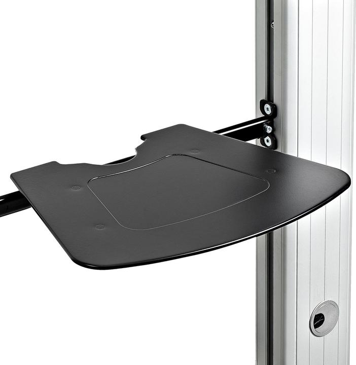 Immagine prodotto StarTech com STNDMTVDUO, 94 cm (37"), 152,4 cm (60"), 200 x 200 mm, 600 x 400 mm, -10 - 5° (60", 50 kg)