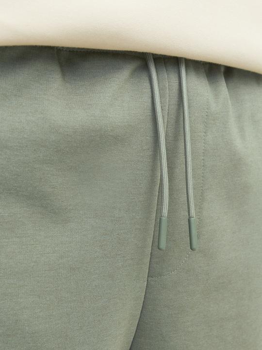 Actual product image Jack & Jones Jpstgordon Jjcloud Sweat Shorts Mni (122)
