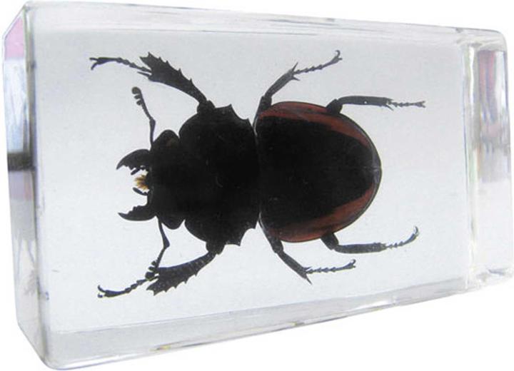 Actual product image R&G epoxy casting resin (water clear) + hardener w300, pack/ 1,35 kg