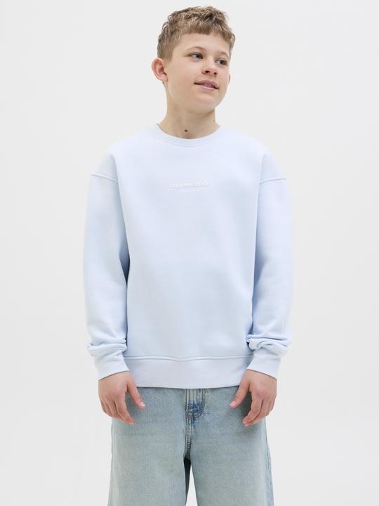 Produktbild Jack & Jones Gedruckt Sweatshirt Junior Sweatshirt (152)