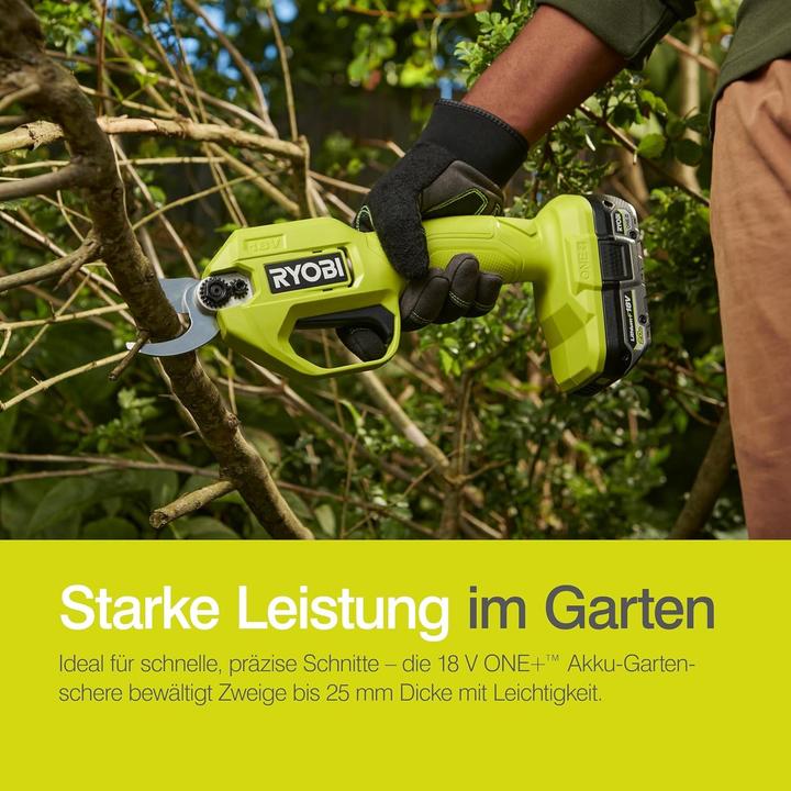 Image du produit Ryobi Secateurs