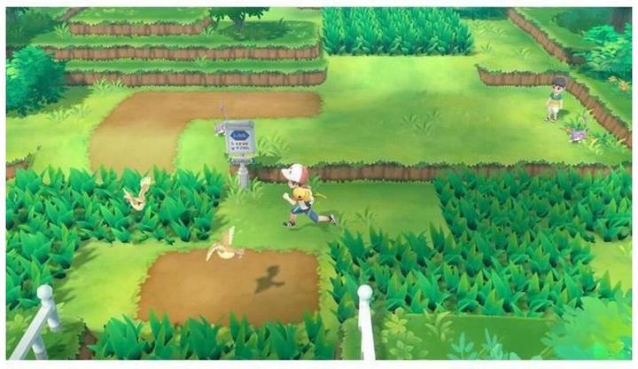 Actual product image Nintendo Pokémon: Let's Go, Pikachu! (Switch, FR)