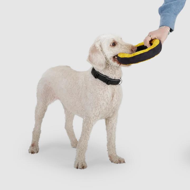Produktbild Redoggo Donut Aktivspielzeug