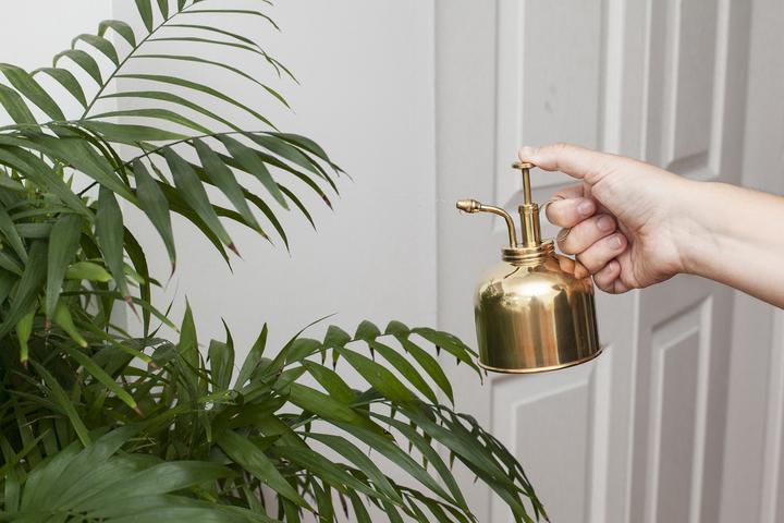 Produktbild Kikkerland Plant Mister (0.10 l)