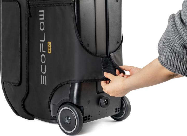 EcoFlow Delta Pro Bag