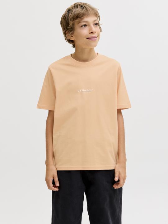Produktbild Jack & Jones Jjesoho Tee Ss Crew Neck Noos Jnr (164)