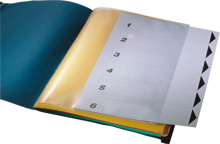 Actual product image Leitz File folder (A4, 1x)