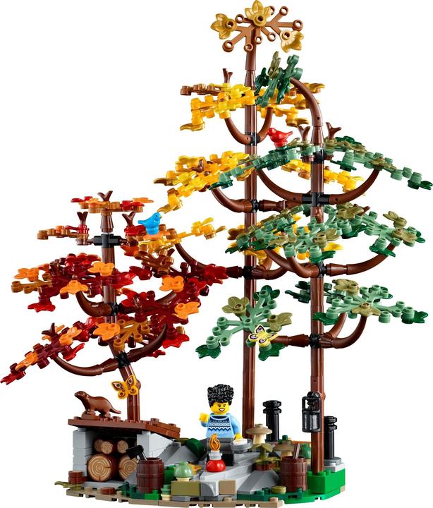 Immagine prodotto LEGO Idee Finn Cottage 21338 (21338, LEGO Ideas, Set LEGO rari)