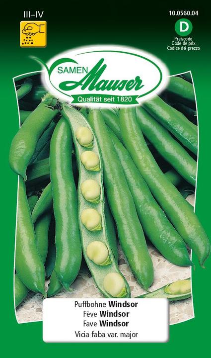 Image du produit Samen Mauser Fèves Windsor (Graines de légumes)