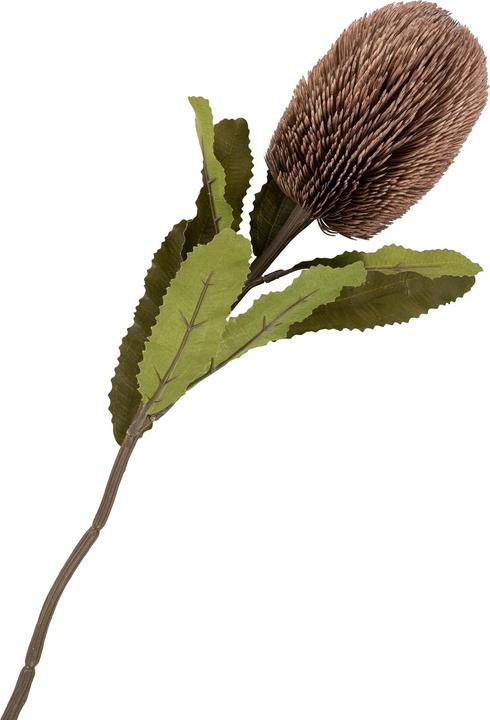 Actual product image House Nordic King (65 cm)