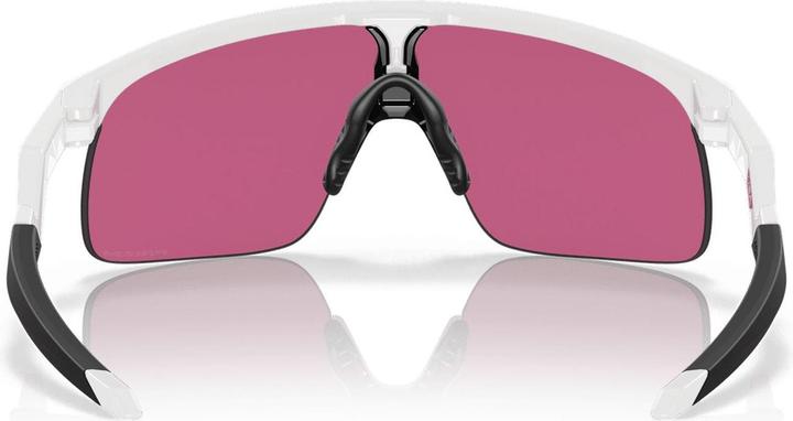 Actual product image Oakley Resistor (Polished white, White glossy, prizm field)