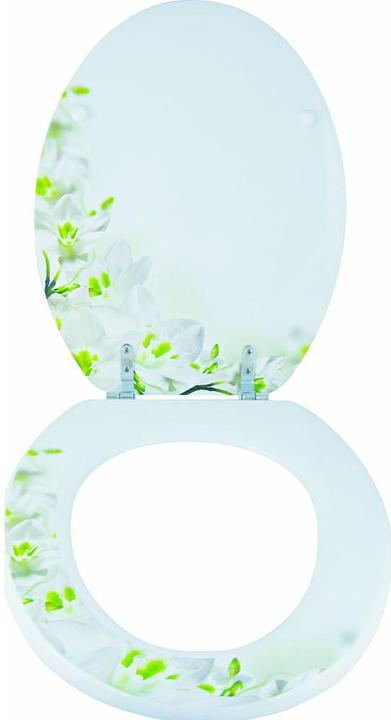 Actual product image MSV Lounge