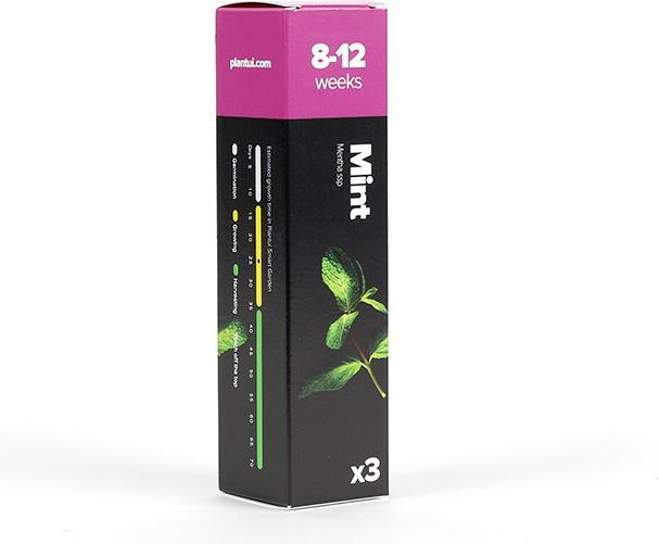 Immagine prodotto Plantui Menta (Semi di erbe)