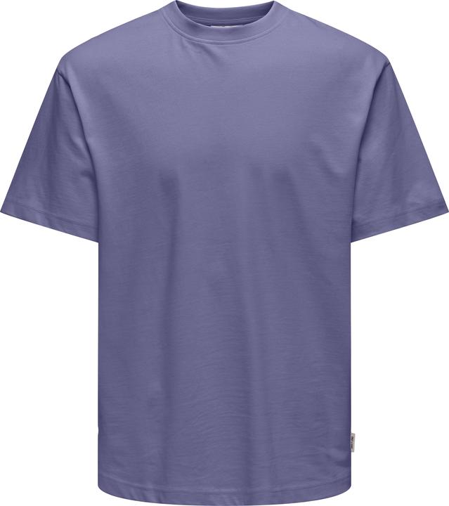 Produktbild Only & Sons Onsfred Life Rlx Ss Tee Noos (L)