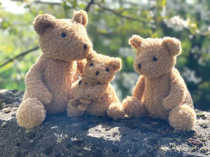 Produktbild Egmont Plüsch Bär Eustache 25 cm (25 cm)