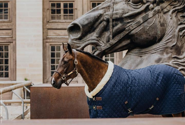 Produktbild Kentucky Horsewear 160 g (115 cm)