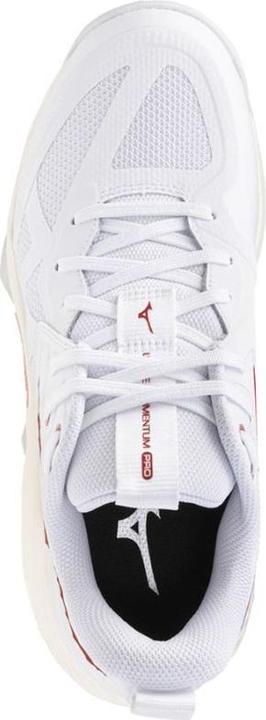 Produktbild Mizuno Wave Momentum Pro Damen (41)