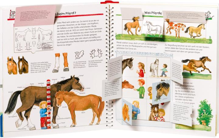 Actual product image Ravensburger Alles über Pferde und Ponys (German, Andrea Erne, Irmgard Eberhard, 2011)