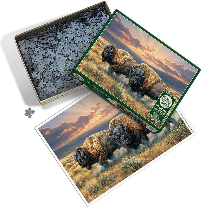 Produktbild Cobble Hill Puzzle Der königliche Plan 1000 Teile (1000 Teile)