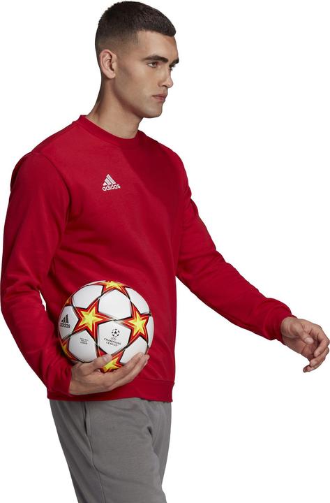 Actual product image adidas Entrada 22 sweatshirt men (XL)