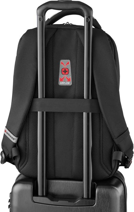 Actual product image Wenger PlayerMode (20 l)