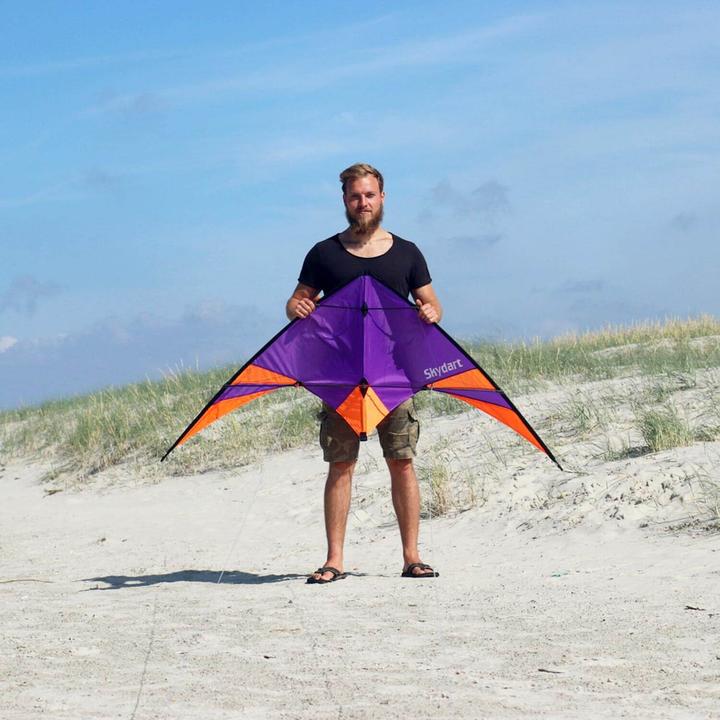 Actual product image Wolkenstürmer Skydart