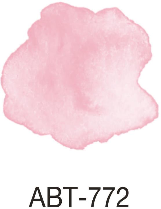 Actual product image Tombow ABT Dual Brush Pen (1 x)