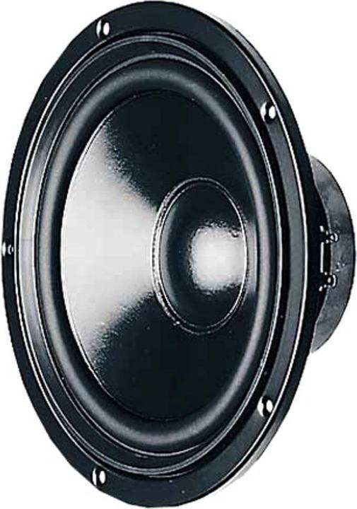 Actual product image Visaton W 170 S
