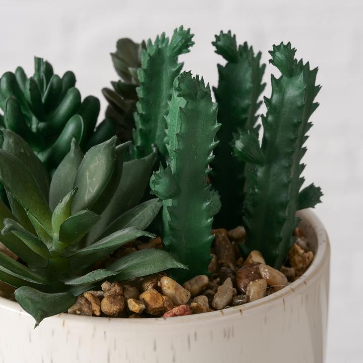 Image du produit Boltze Home Succulentes (12.50 cm)