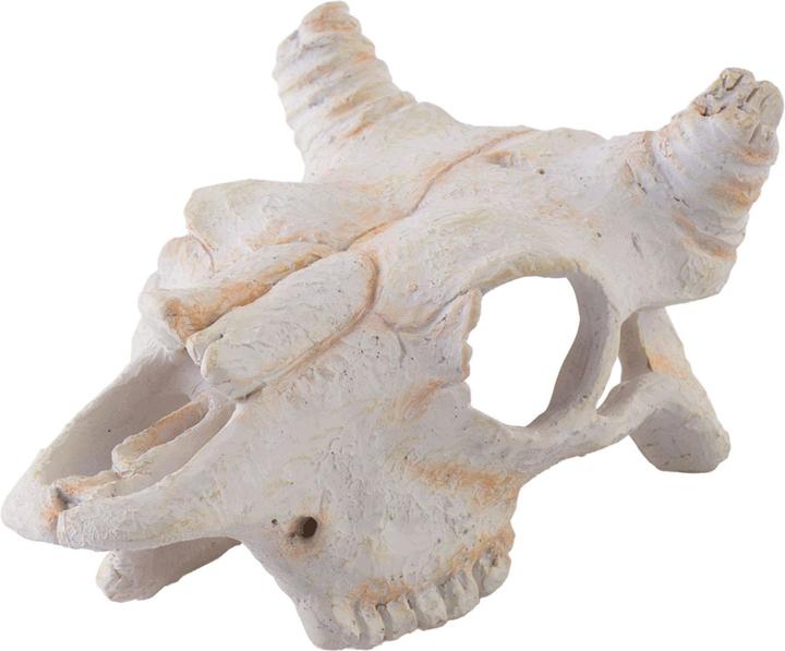 Actual product image Exo Terra Buffalo Skull (Embellishment, other items)