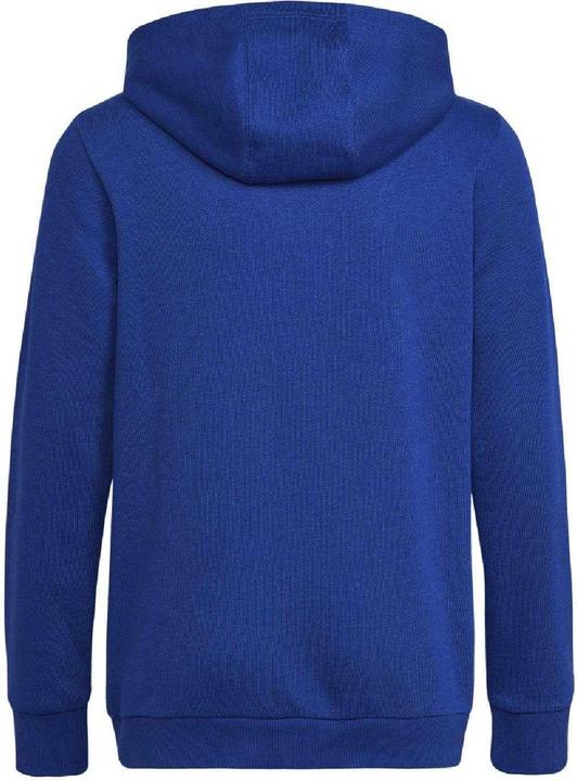 Produktbild adidas Essentials Kapuzenpullover (128)