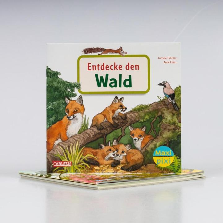 Actual product image Maxi-Pixi-4er-Set 111: Meine Natur-Bilderbücher (4x1 Exemplar) (German)
