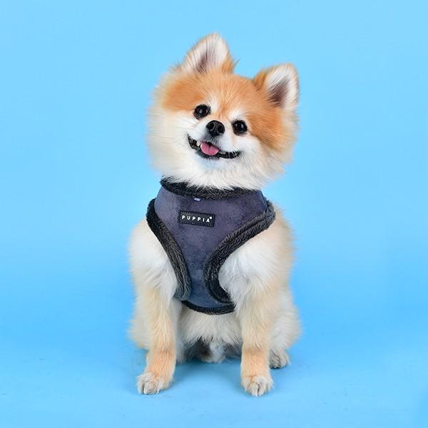 Produktbild Puppia Terry A (S, Hund, Spazieren)