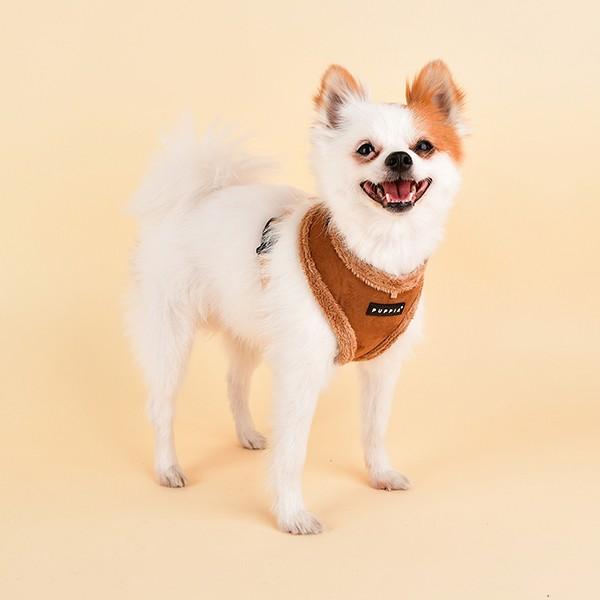 Actual product image Puppia Terry A (XL, Dog, Walks)