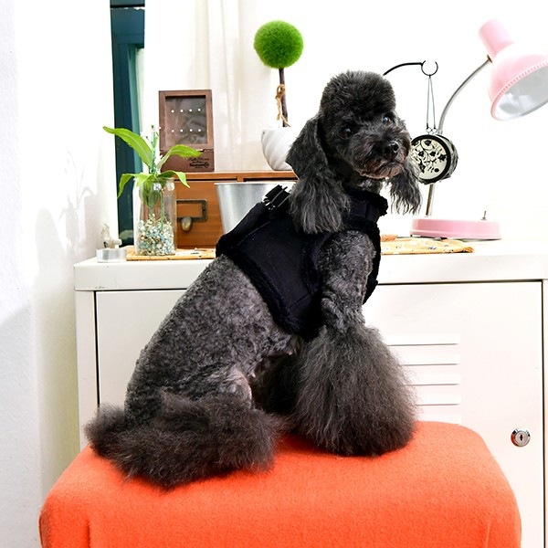 Produktbild Puppia Terry B (M, Hund, Spazieren)