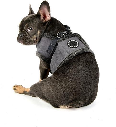 Immagine prodotto Puppia Terry B (S, Cane, Passeggiare)