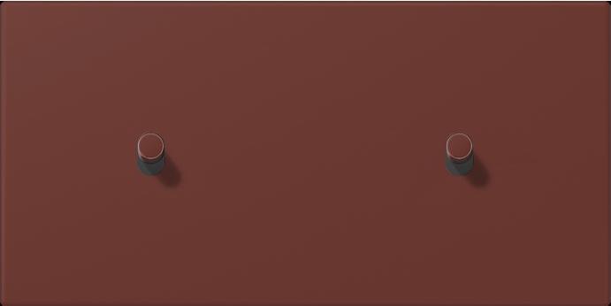 Actual product image JUNG Cover with toggle lever