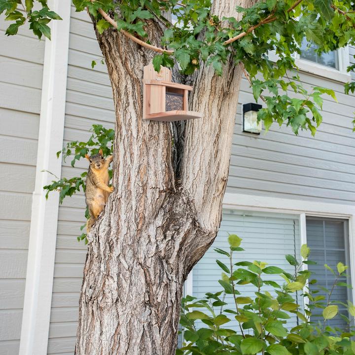 Actual product image Relaxdays Squirrel feeder